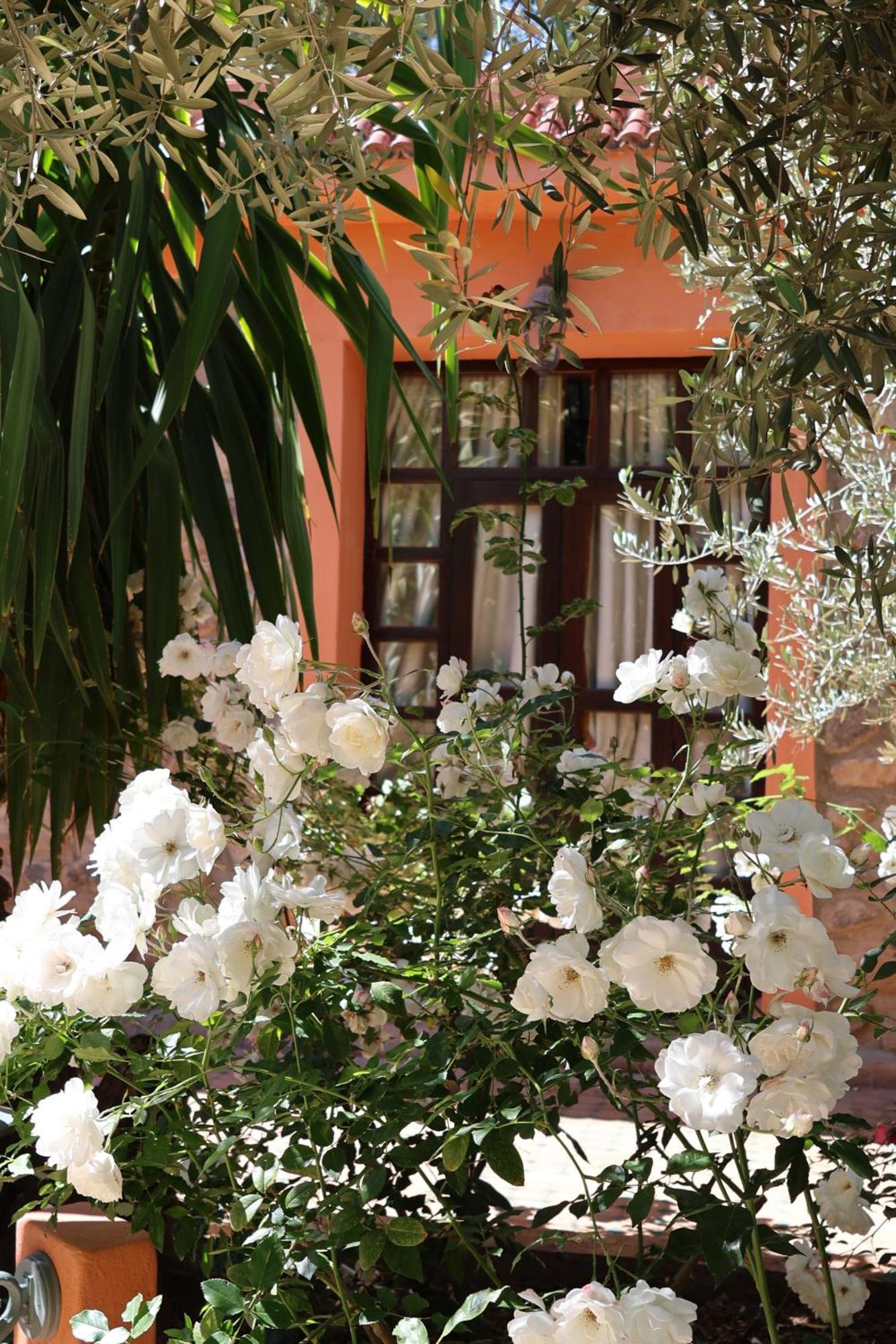 Domaine De La Roseraie Resort Ouirgane Zewnętrze zdjęcie