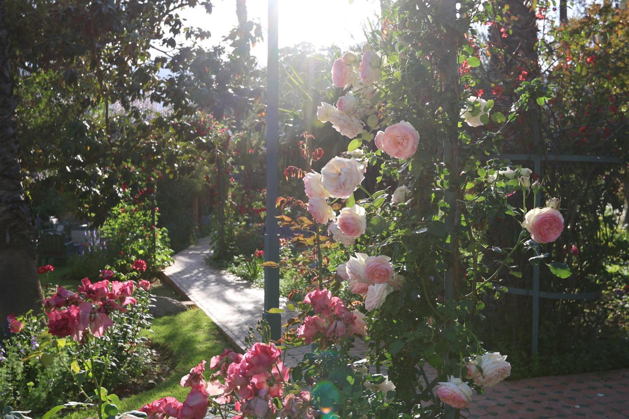 Domaine De La Roseraie Resort Ouirgane Zewnętrze zdjęcie