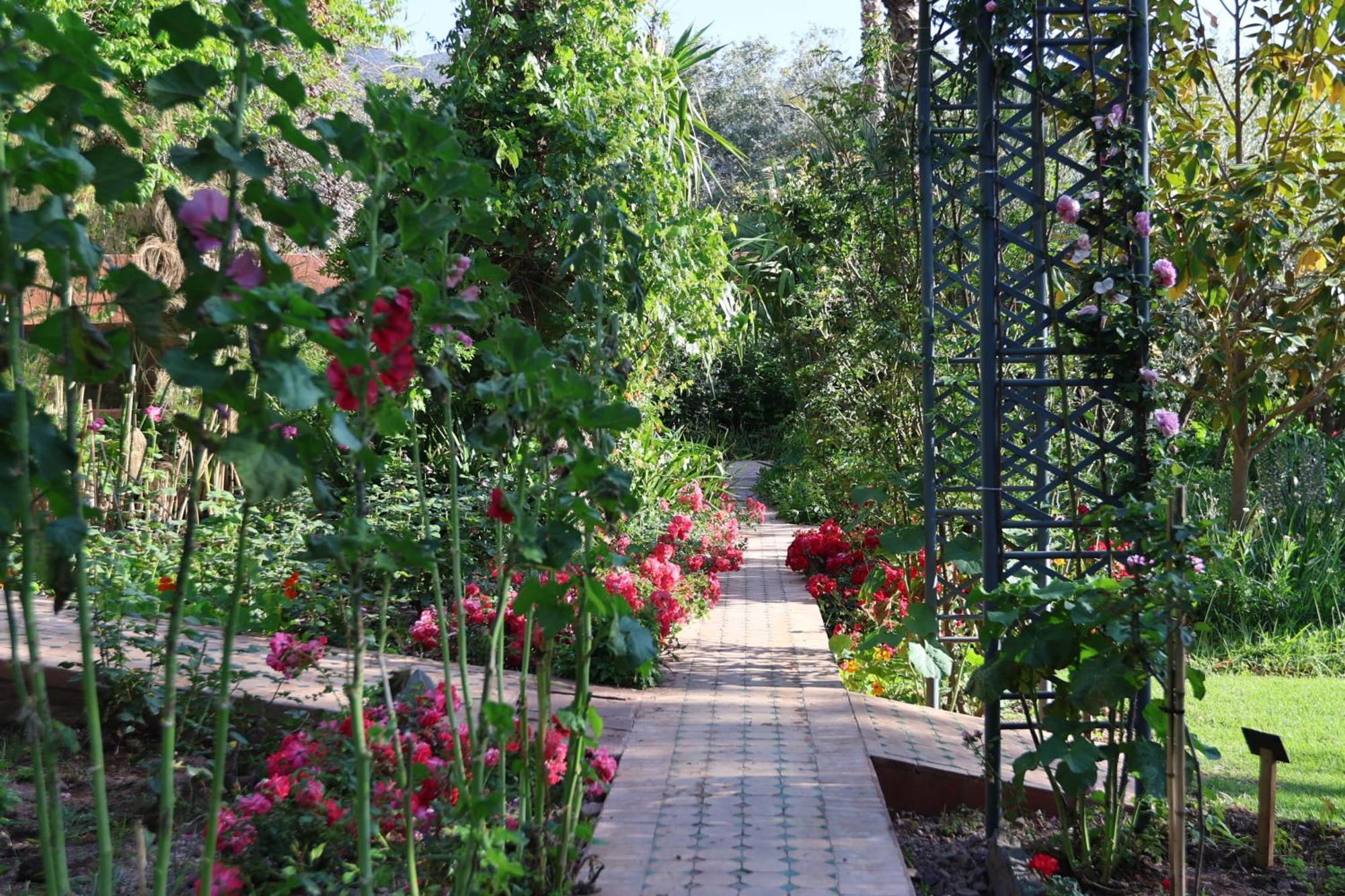 Domaine De La Roseraie Resort Ouirgane Zewnętrze zdjęcie